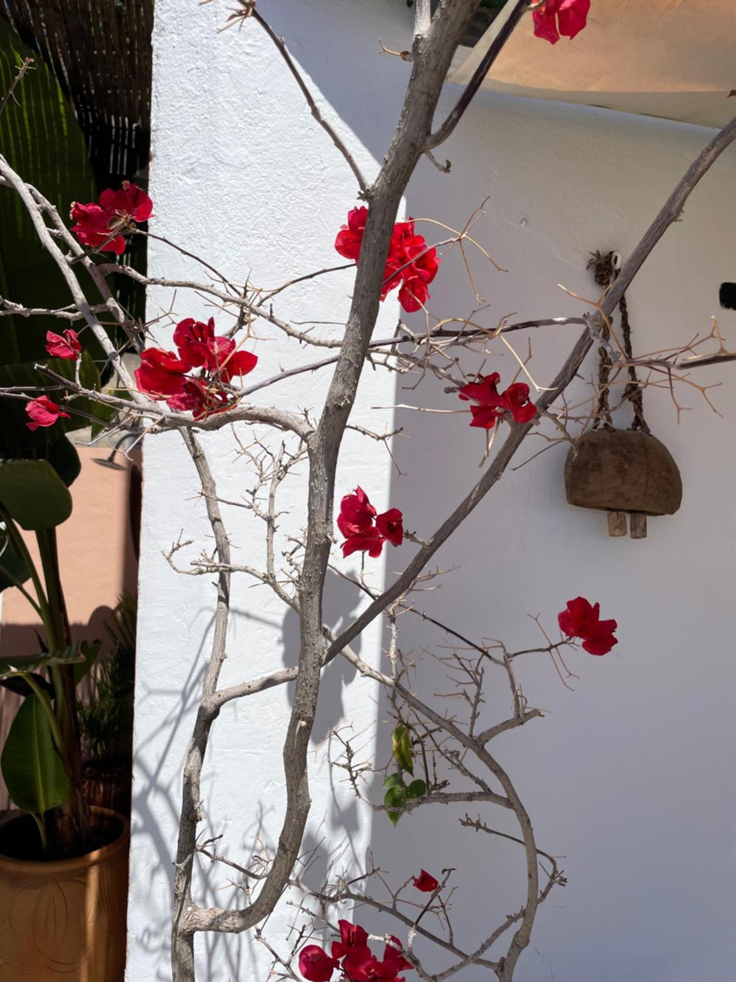 Mar De Fondo En Pedregalejo Apartment มาลากา ภายนอก รูปภาพ